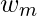 Rendered by QuickLaTeX.com w_m