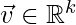 \vec{v} \in \mathbb{R}^k